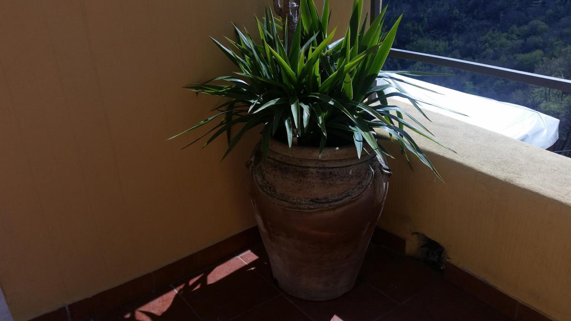 Sol Y Ombra Villa Voze Exterior foto